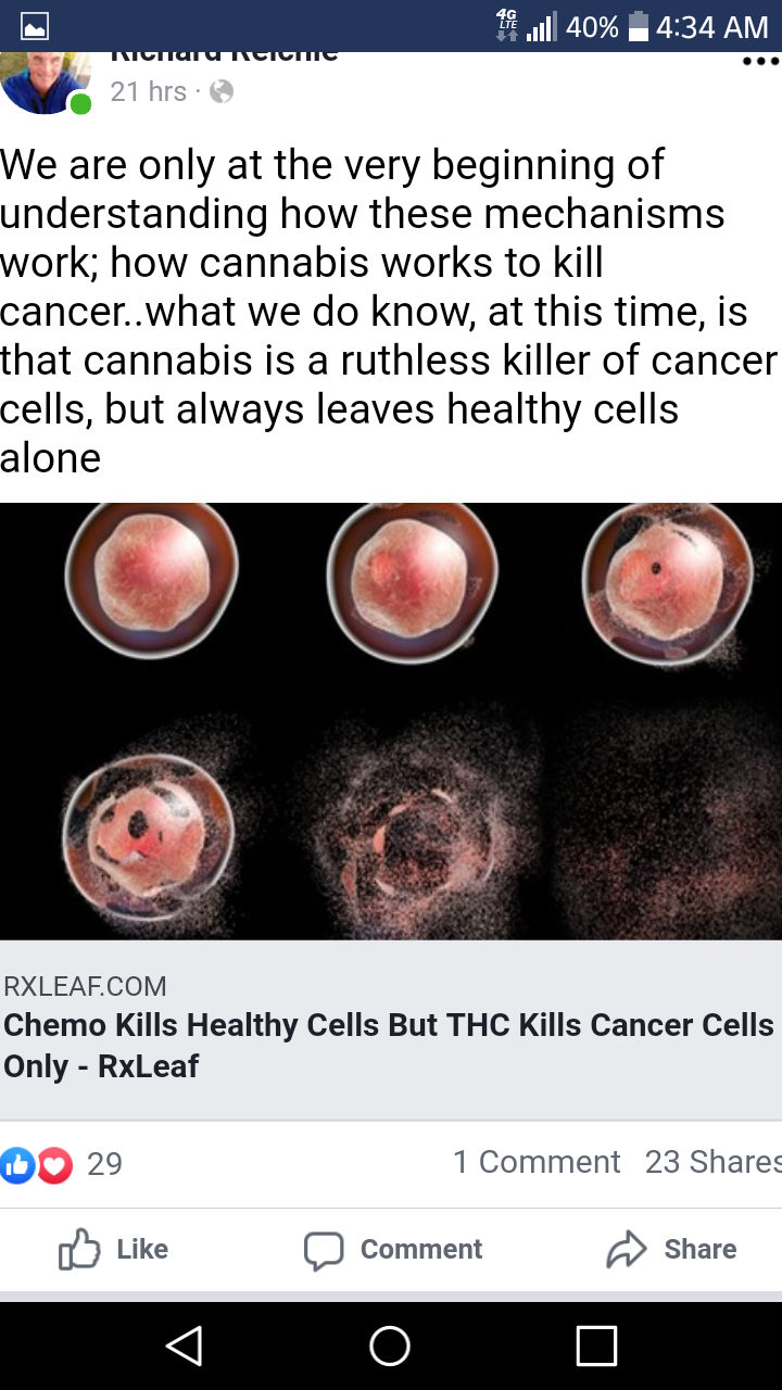 Rising Biosciences, Inc (RBII): H, as you know THC kills cancer cells!...